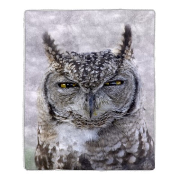 Hastings Home Sherpa Fleece Throw Blanket, Owl Print Pattern, Lightweight, Hypoallergenic Bed Blanket, Adults/Kids 990826GWT
